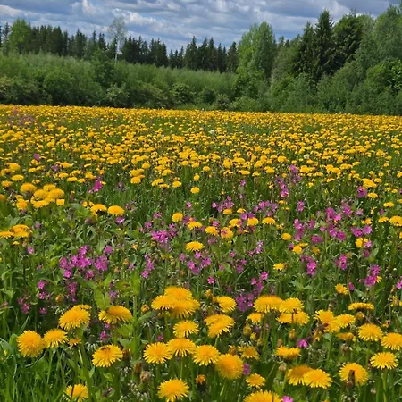 Kyyveden Kartano Laventeli 17 * Mikkeli